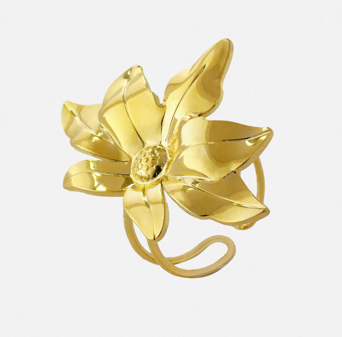 Anillos