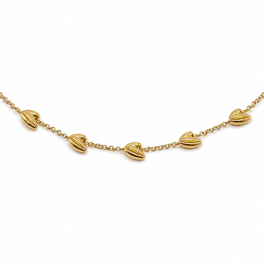 Collar Semillas Dorado