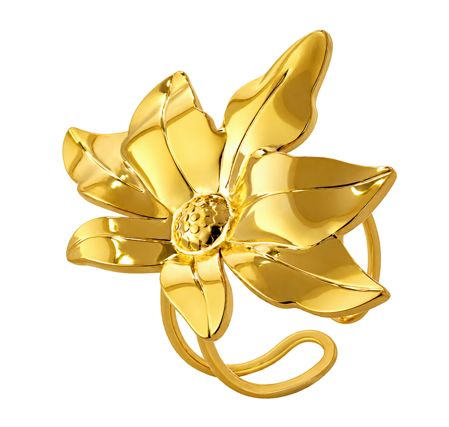 ANILLOS
